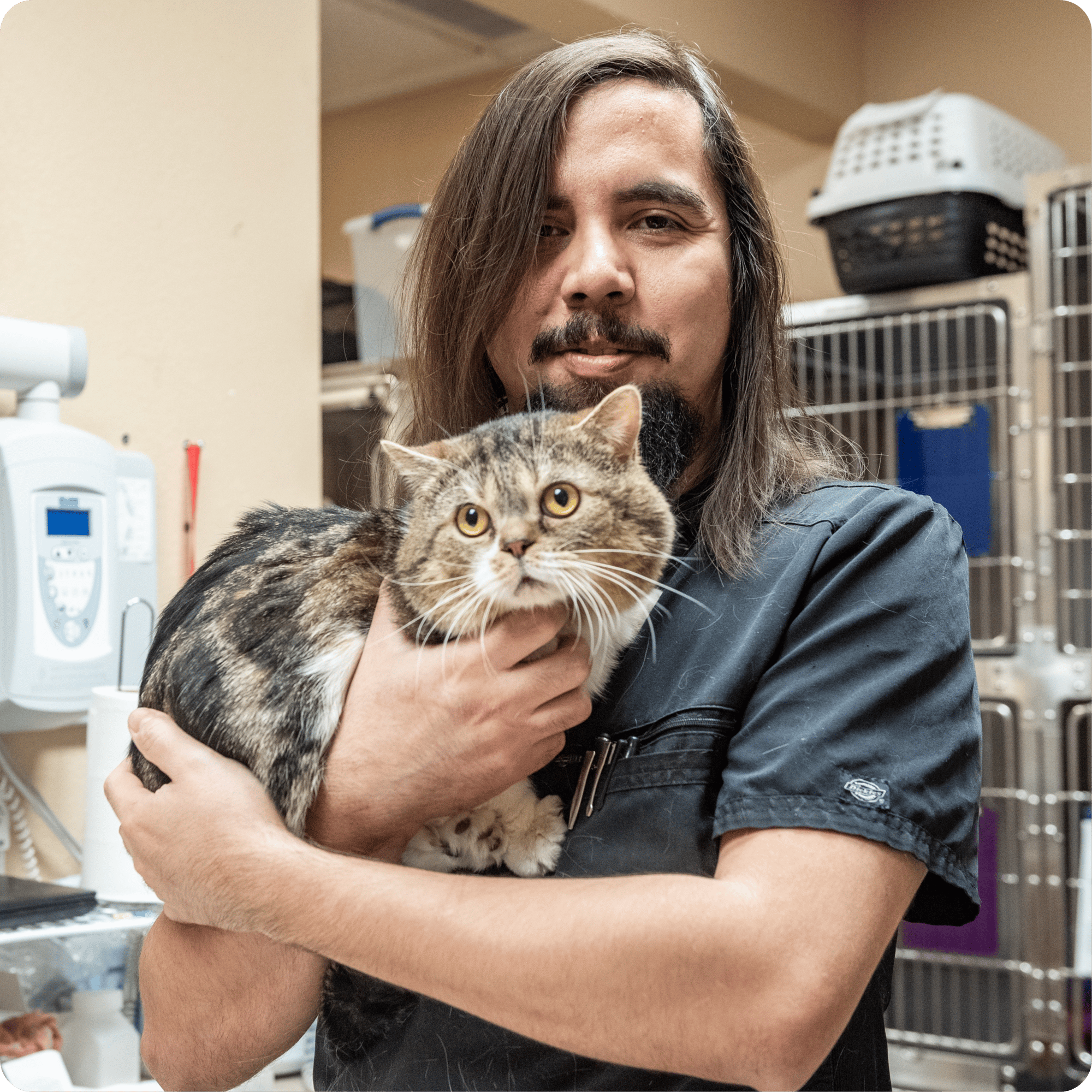 Mathew & cat-modified
