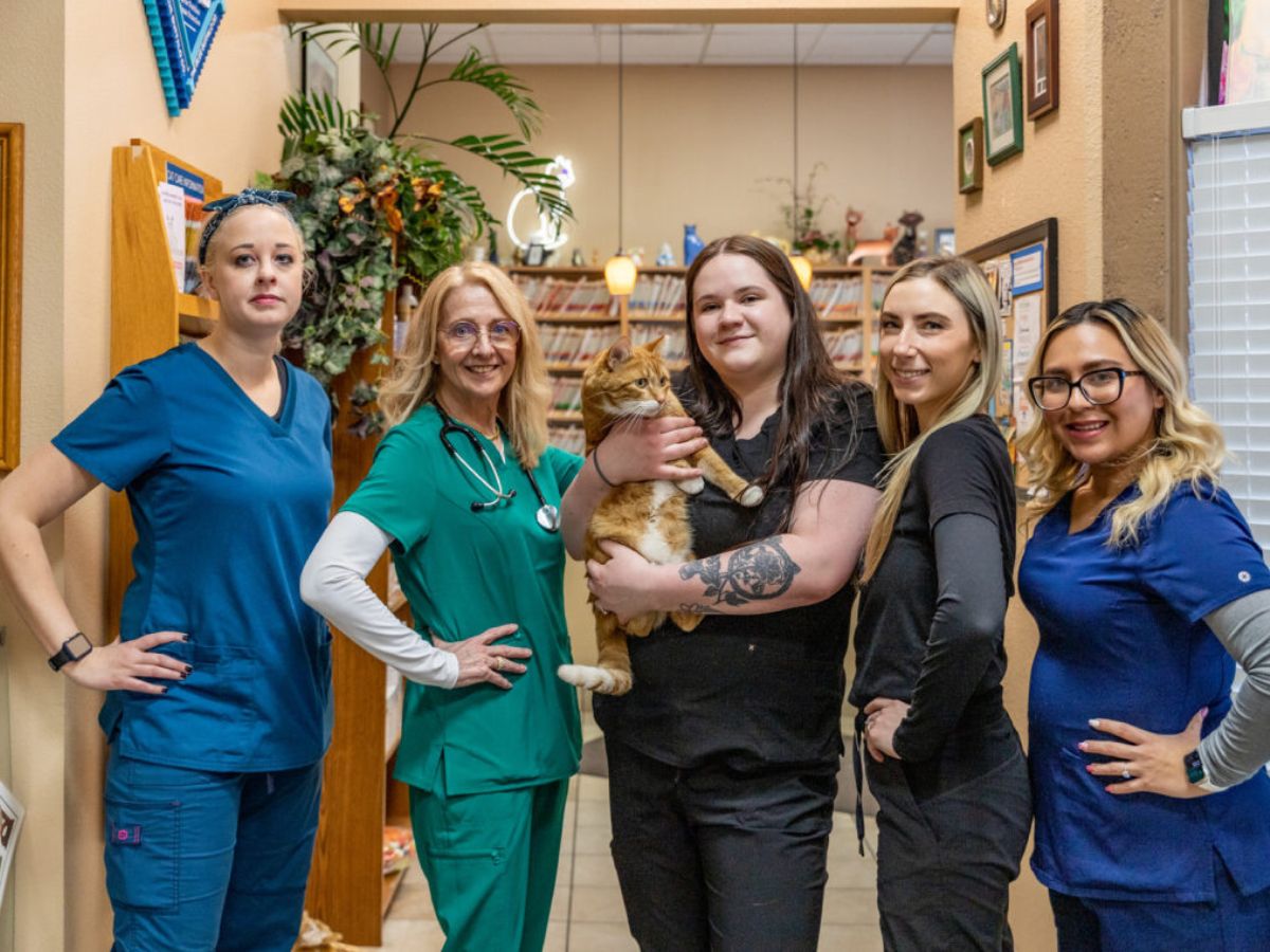 A Cat Hospital team members cheerfully posing with a cat
