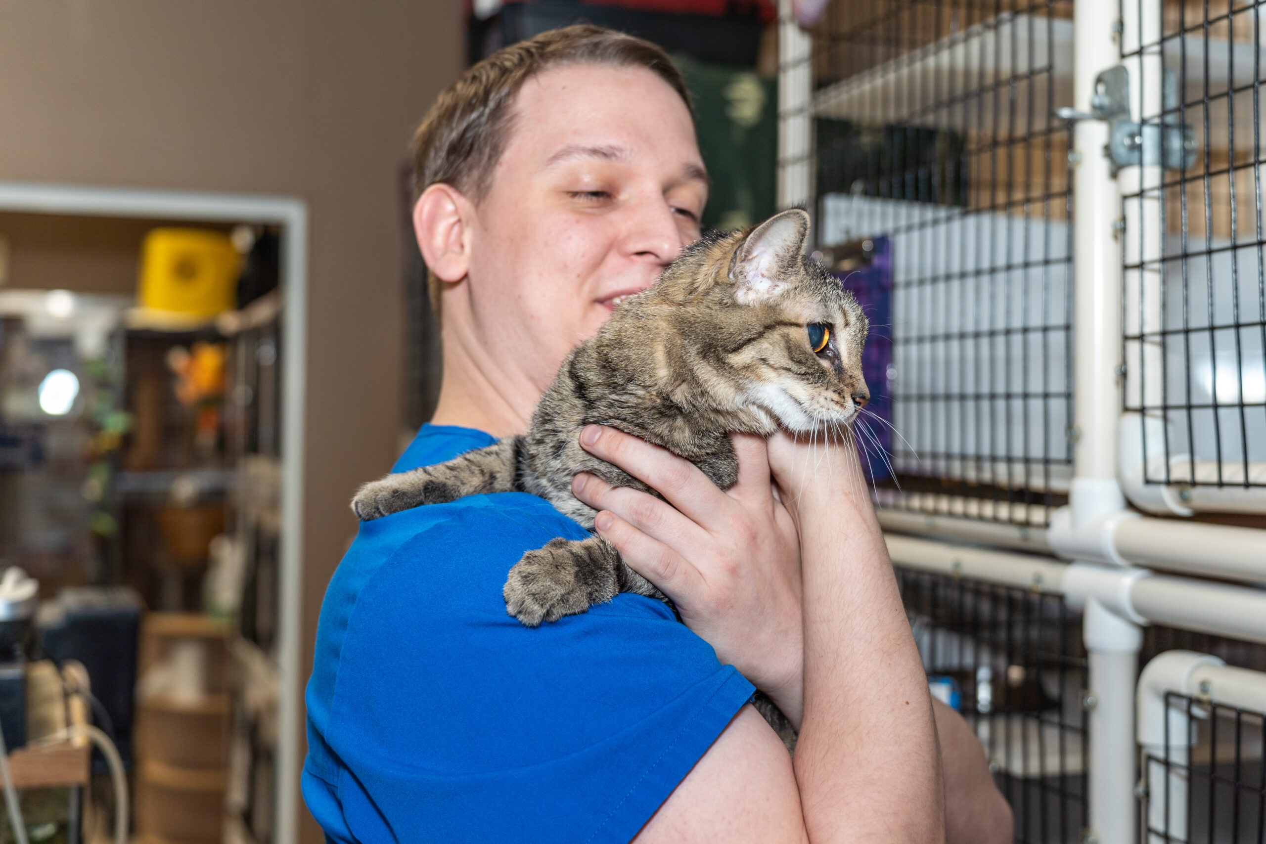 a vet holding a cat