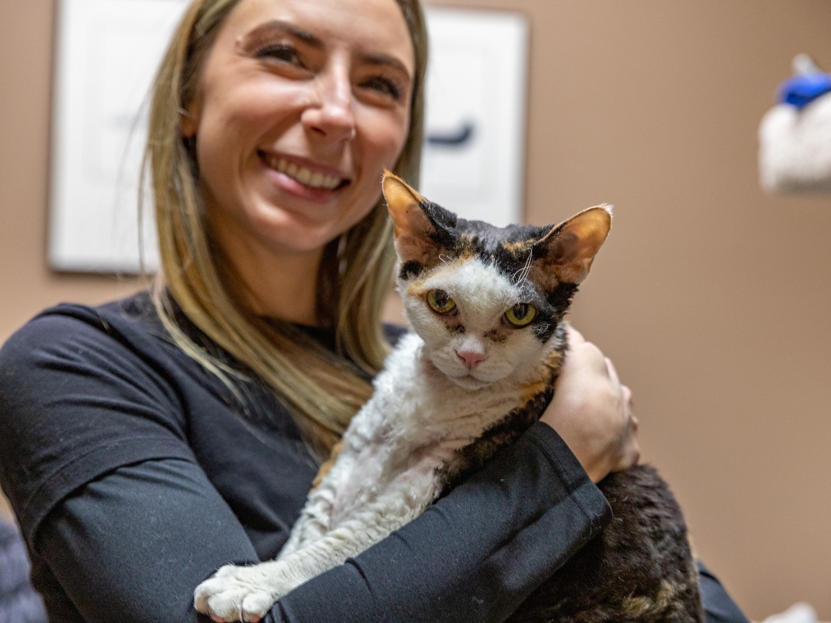 a vet staff holding a cat