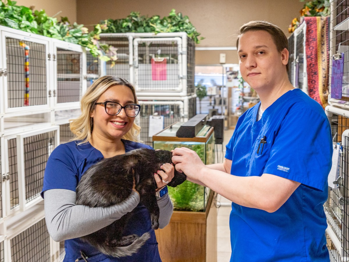 2 vet staff with a cat